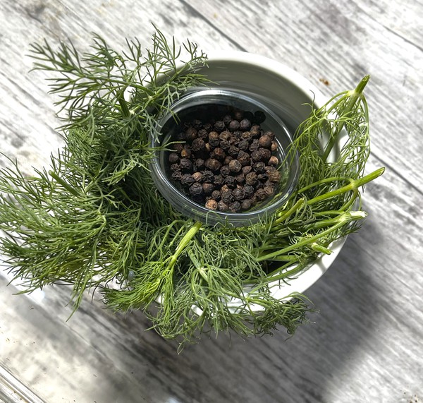 dill and peppercorns_IMG_8260.jpg